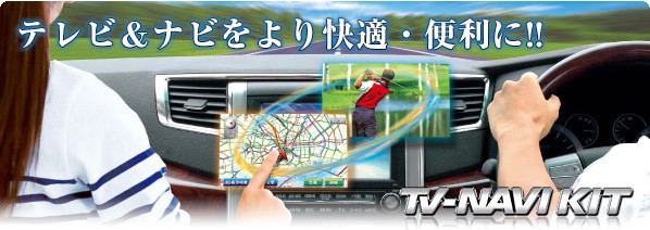 Data System（データシステム） HTN-2101 TVナビキット PLD版 切替