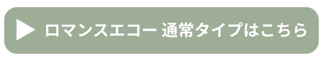 ロマンスエコー通常版