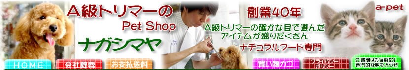 店長のへや ａ級トリマーのpetshop ナガシマヤ 通販 Yahoo ショッピング