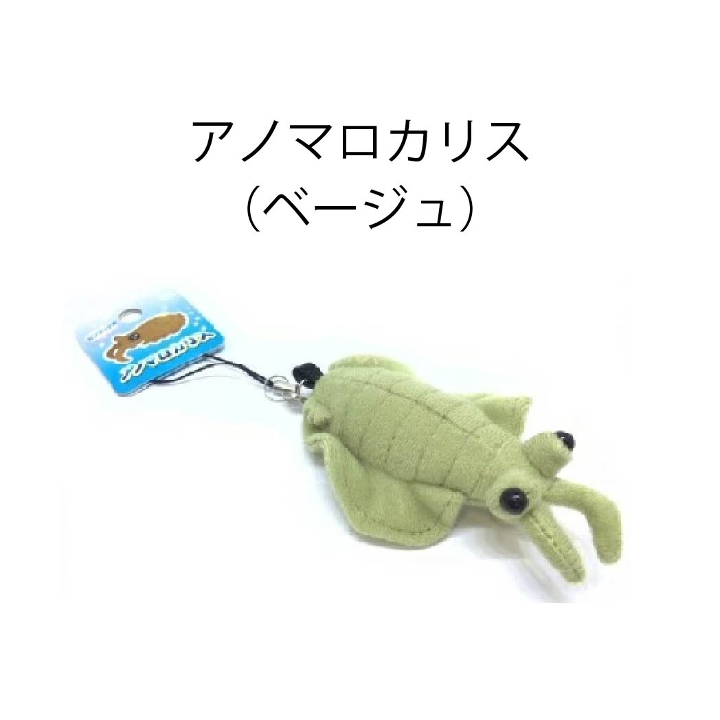 ムニュマム ST ダイオウグソクムシ ジンベエザメ アノマロカリス