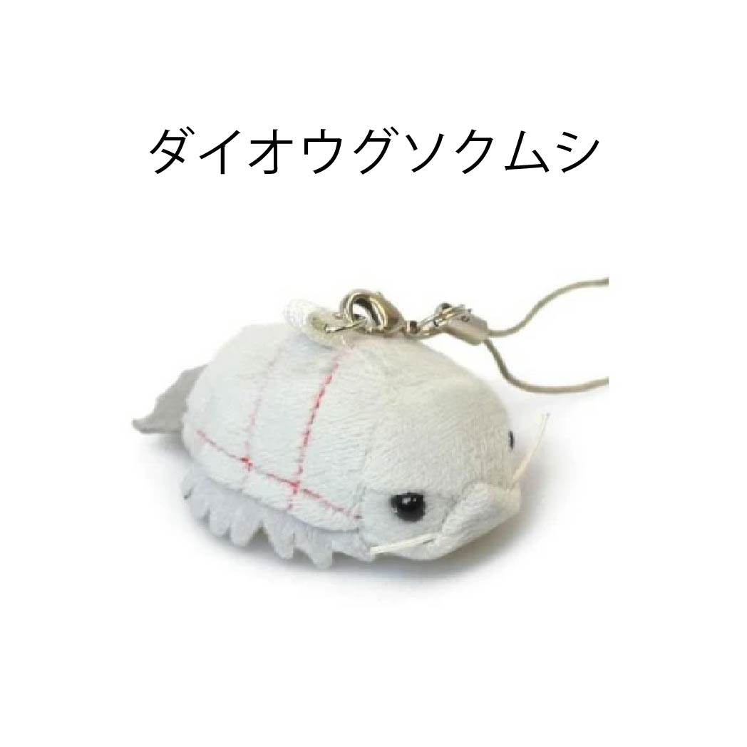 ムニュマム ST ダイオウグソクムシ ジンベエザメ アノマロカリス