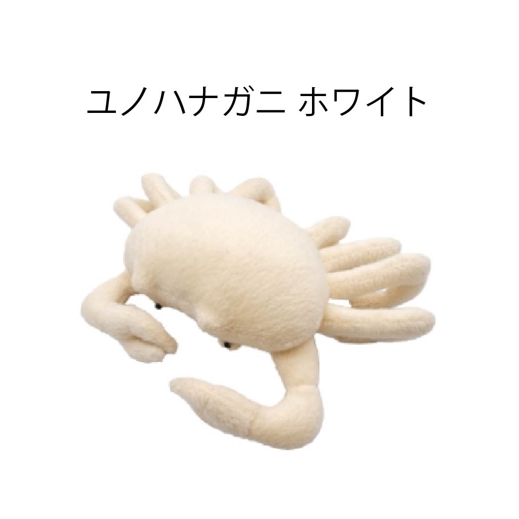 しんかいさん ユノハナガニ ぬいぐるみ ホワイト ティーエスティー