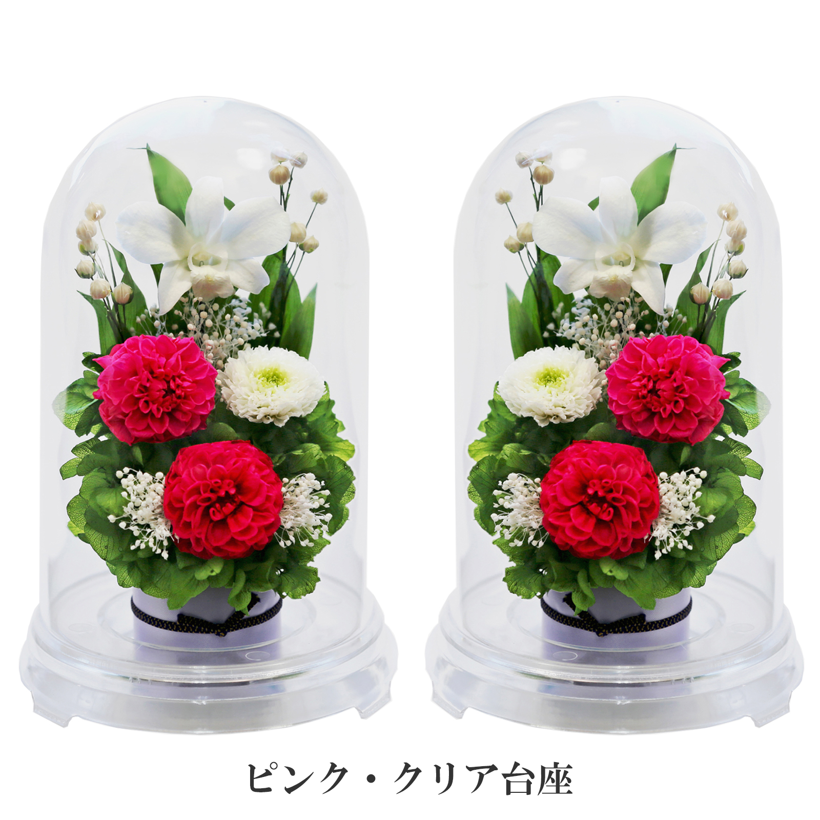 クリア・ピンク