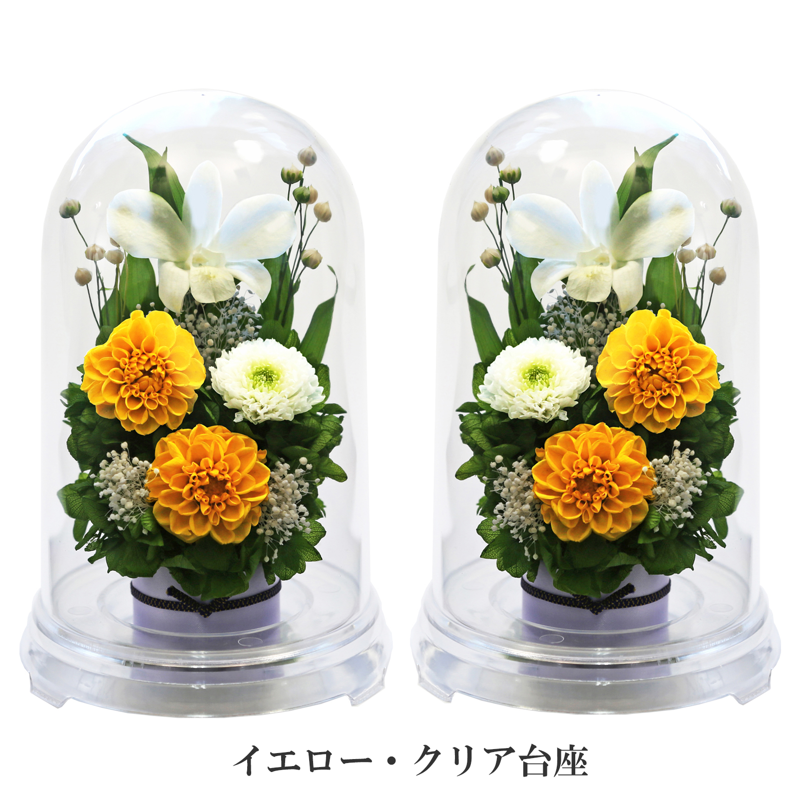 クリア・イエロー