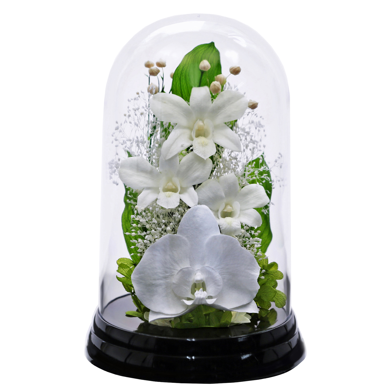 仏花プリザーブドフラワー 仏花 ブリザードフラワ- 仏壇用 お供え花 枯れないお花 プリザーブドフラワー  【デンファレドーム】 | アートフォーシーズン | 01