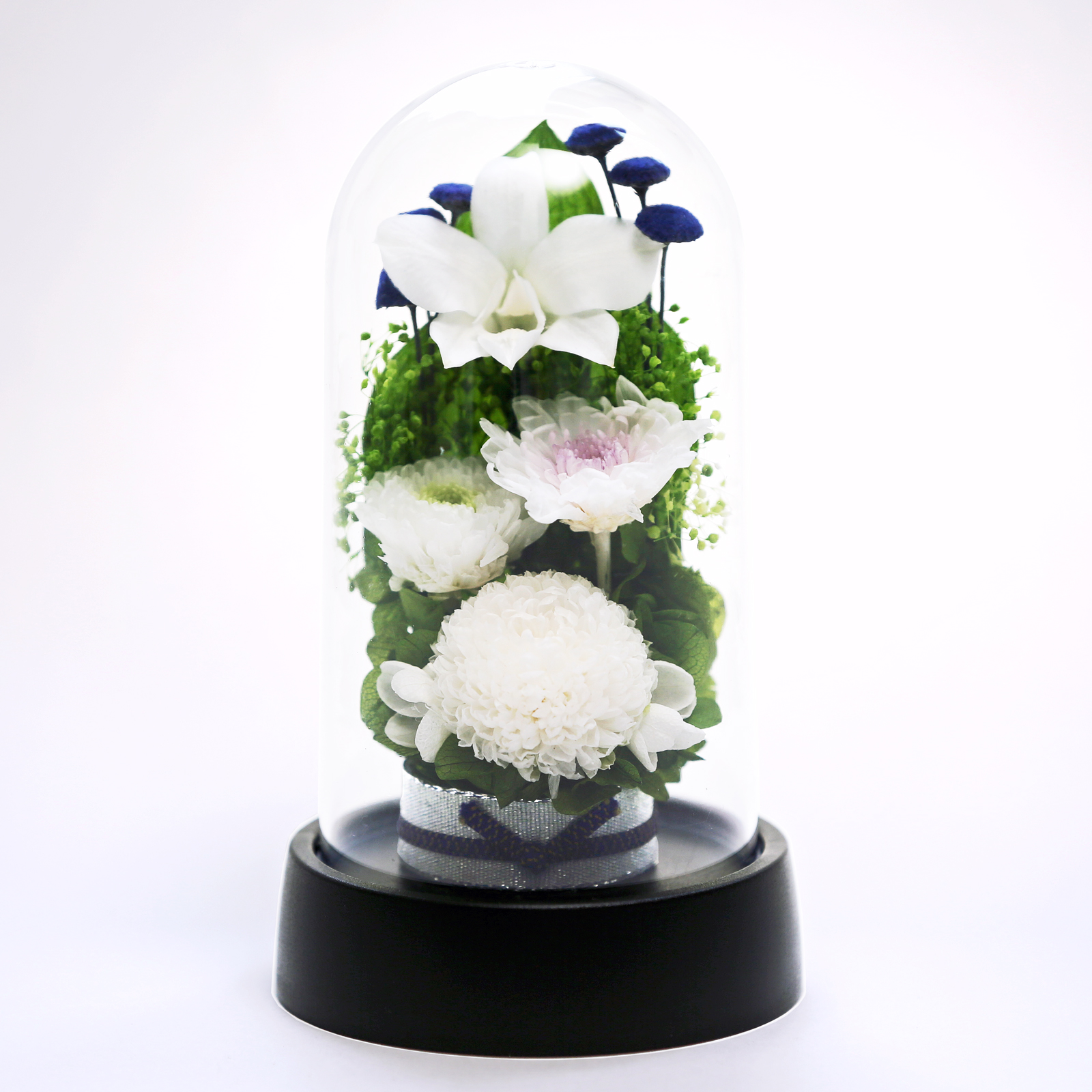 仏花　プリザーブドフラワーアレンジ　クリアケース入り　お供え花　ピンポンマム FlowerKitchen プリザーブドフラワー 仏花 花 お供え