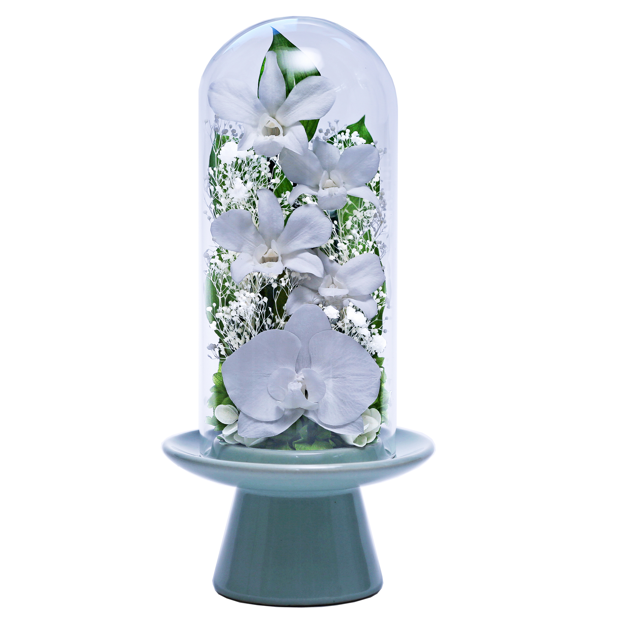 プリザーブドフラワー 仏花 ガラス お供え花 ブリザードフラワー 花 法事 アレンジメント フラワーギフト 新盆 初盆 アートフォーシーズン【胡蝶蘭Glass】 | アートフォーシーズン | 02