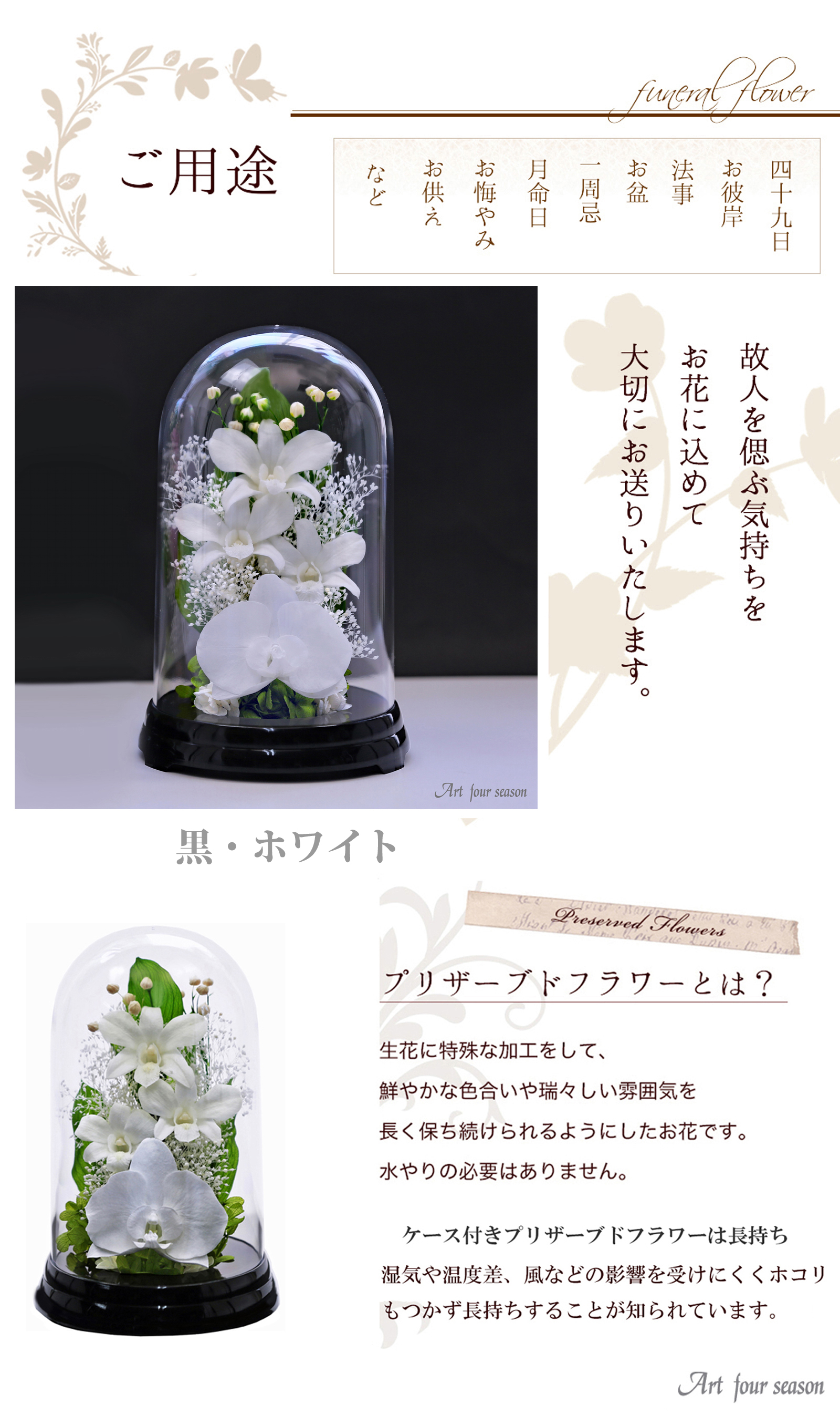 黒・ホワイト