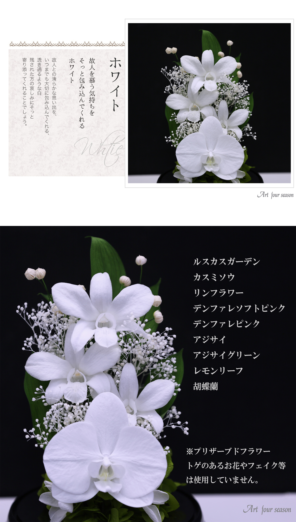 黒・ホワイト
