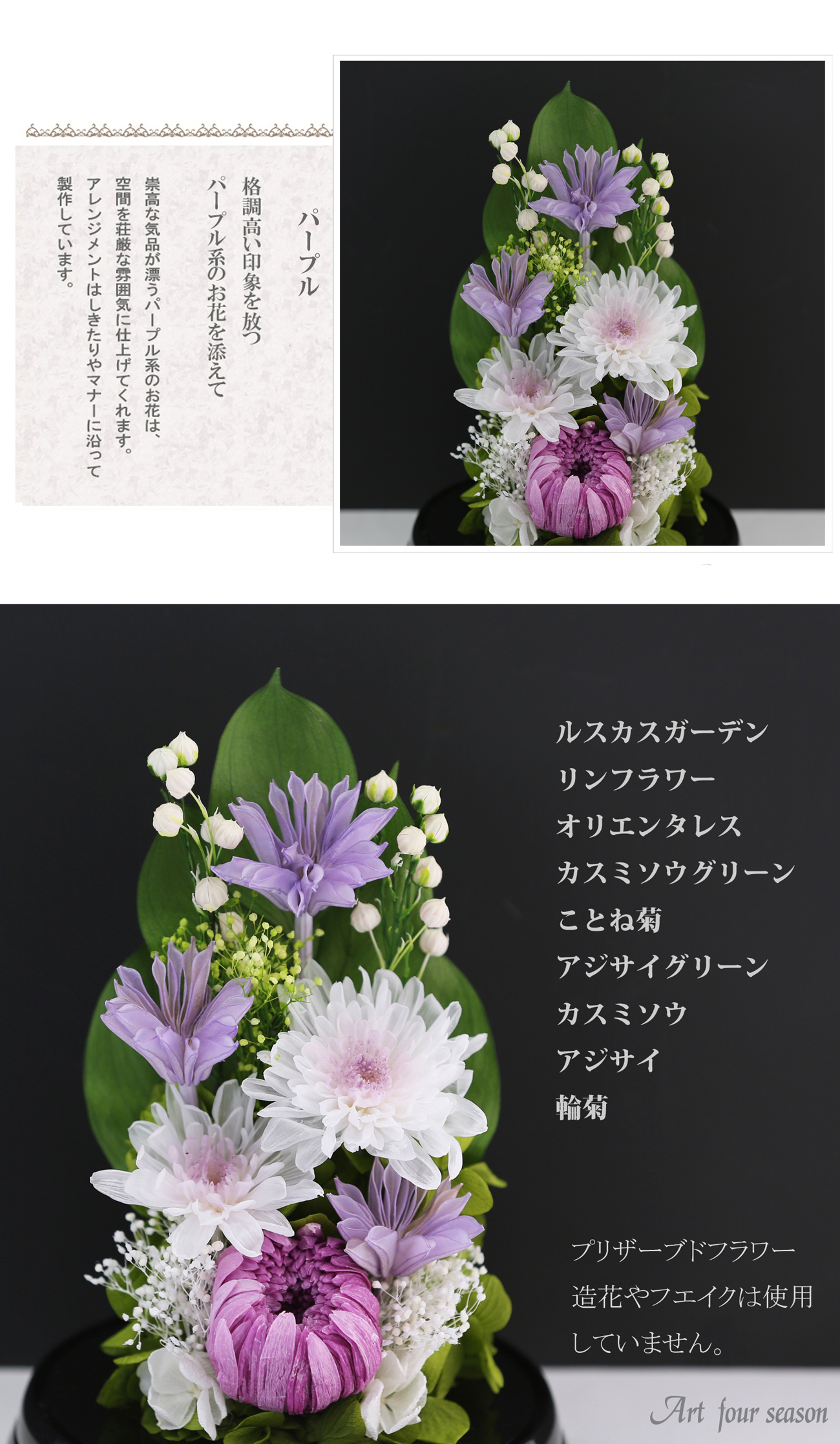 黒・対パープル