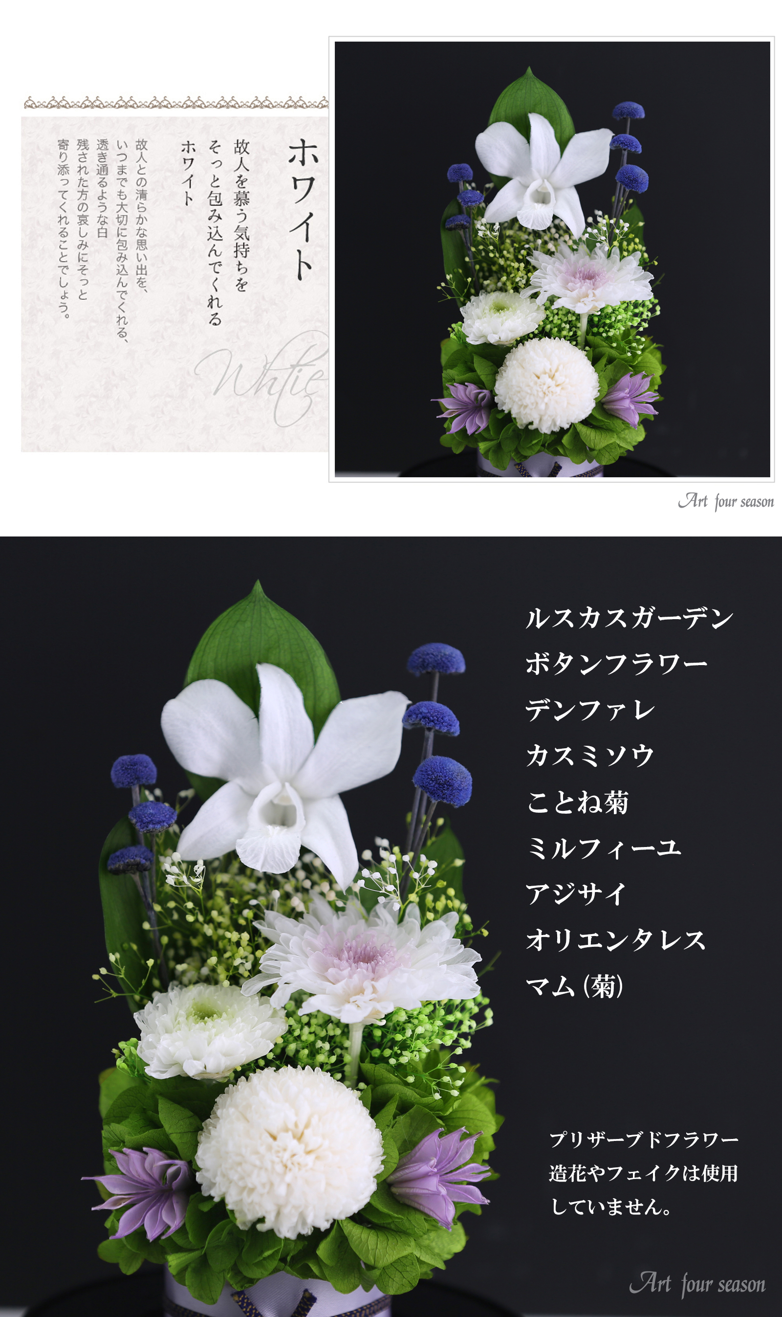 黒・対ホワイト