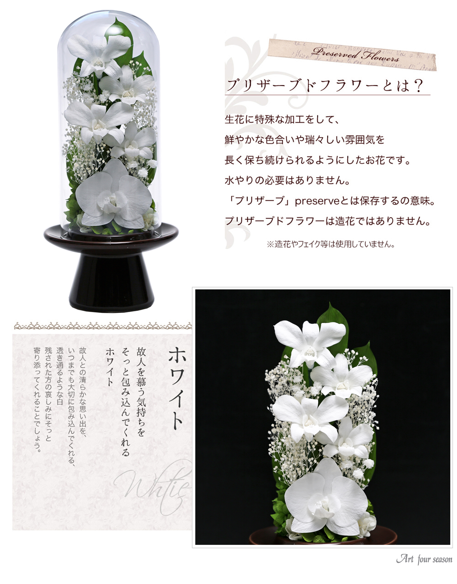 茶系