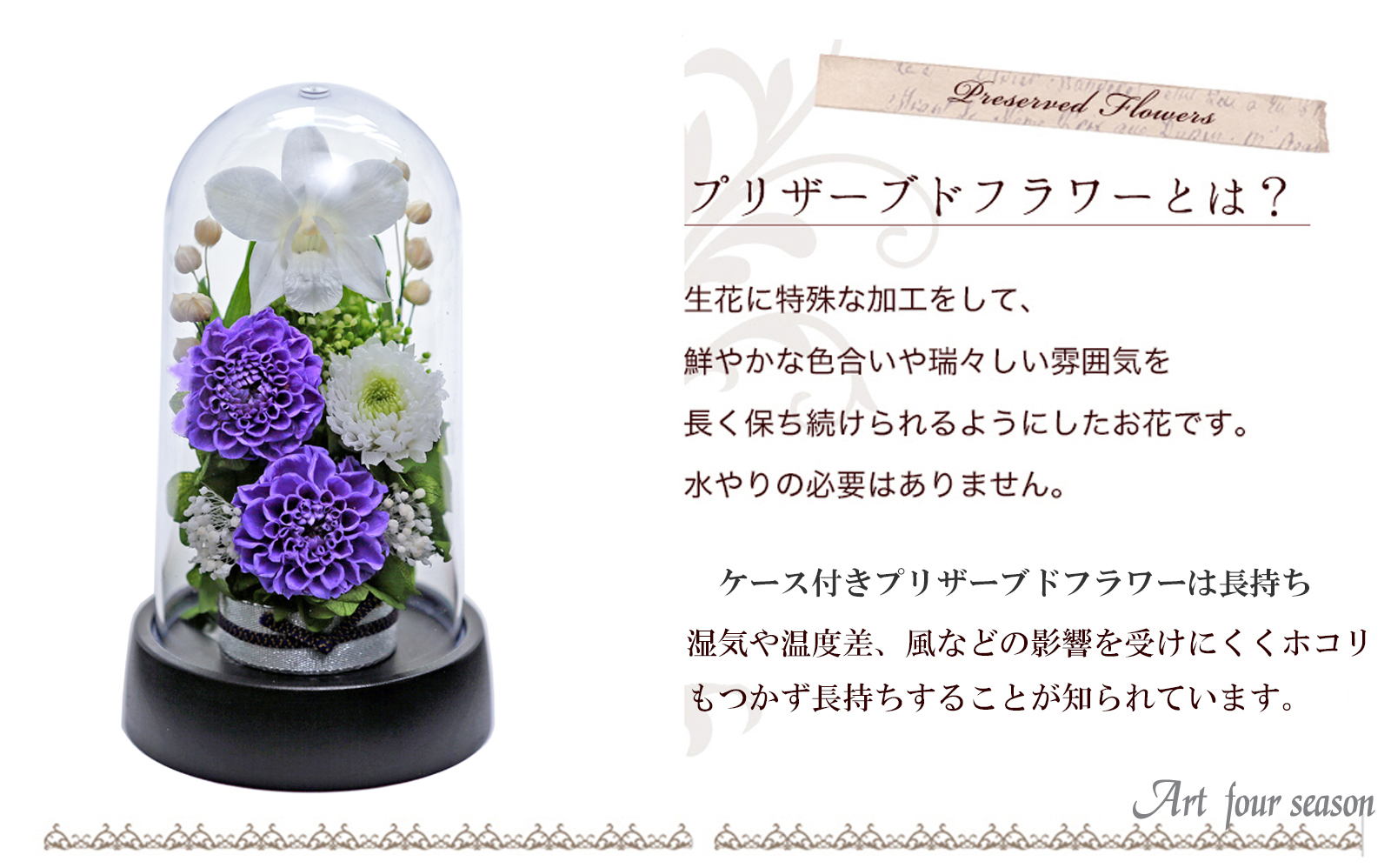 リラ 