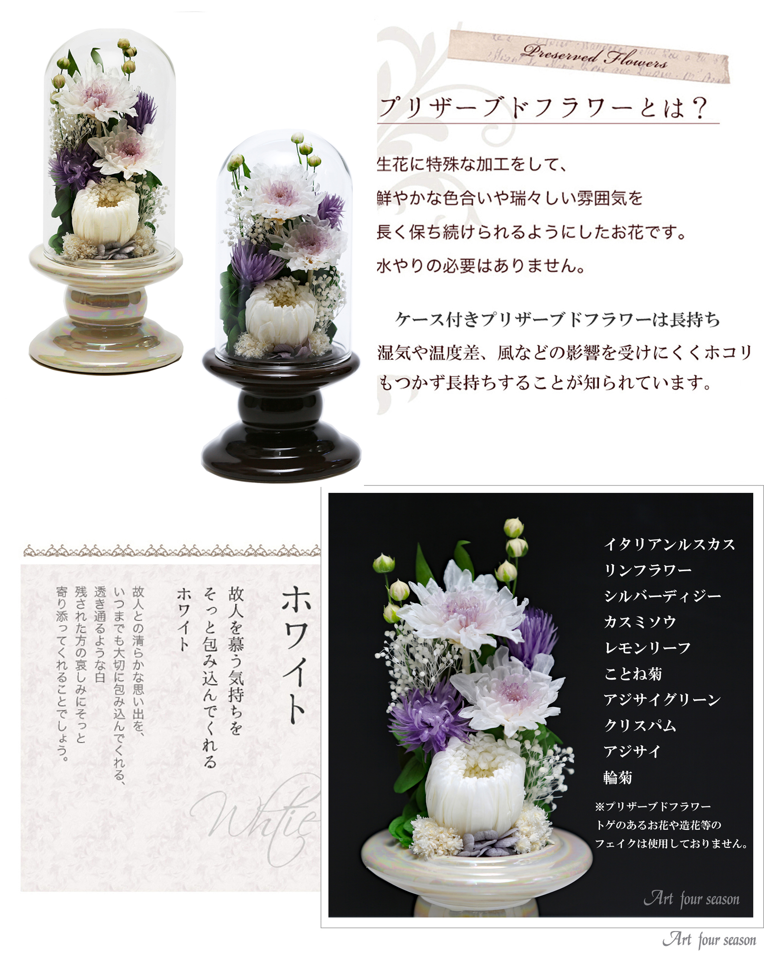 白・ホワイト