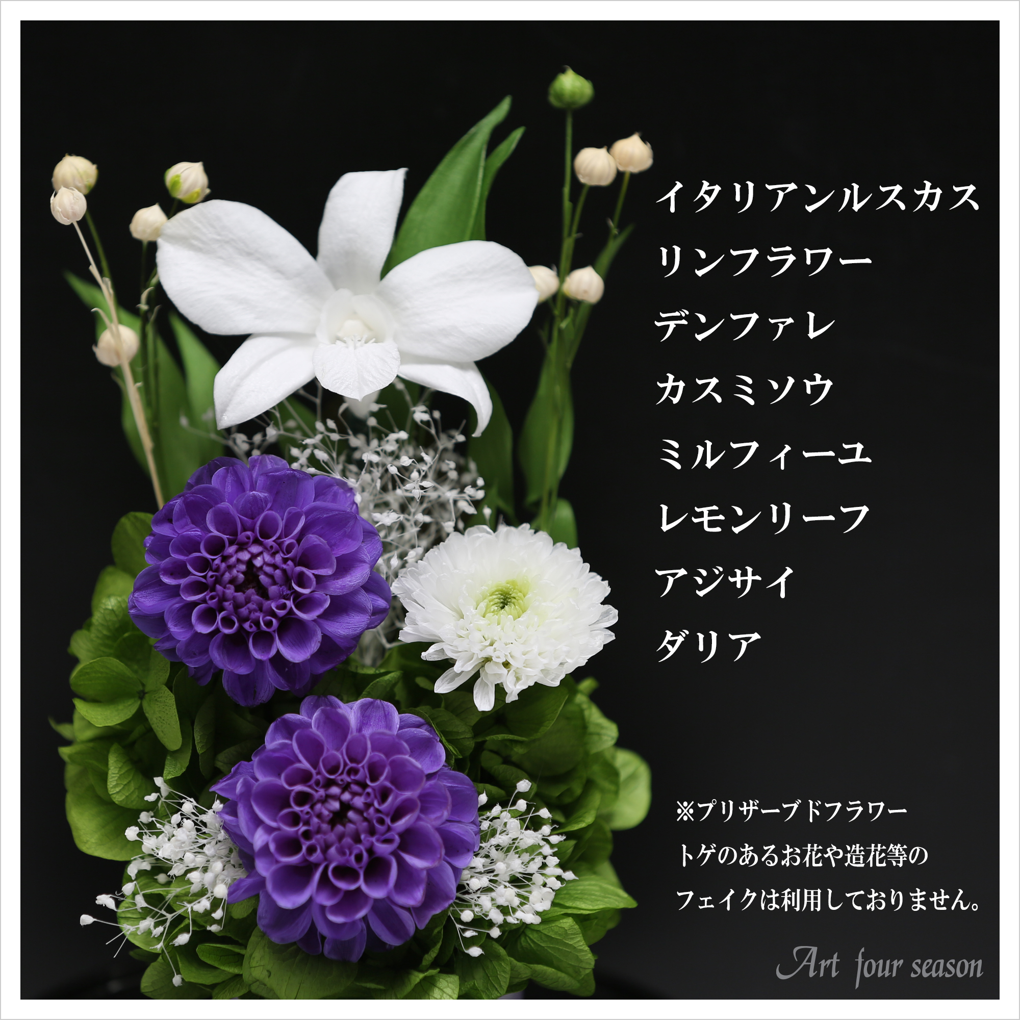 黒・対リラ