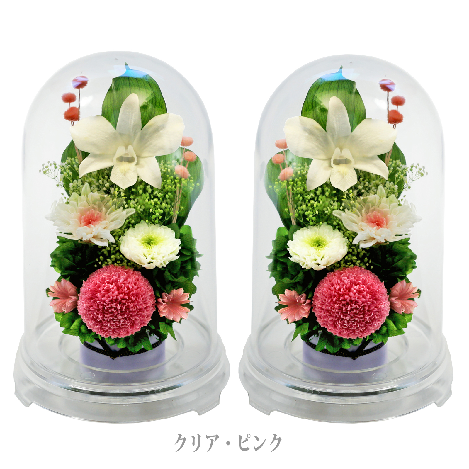 クリア・対ピンク