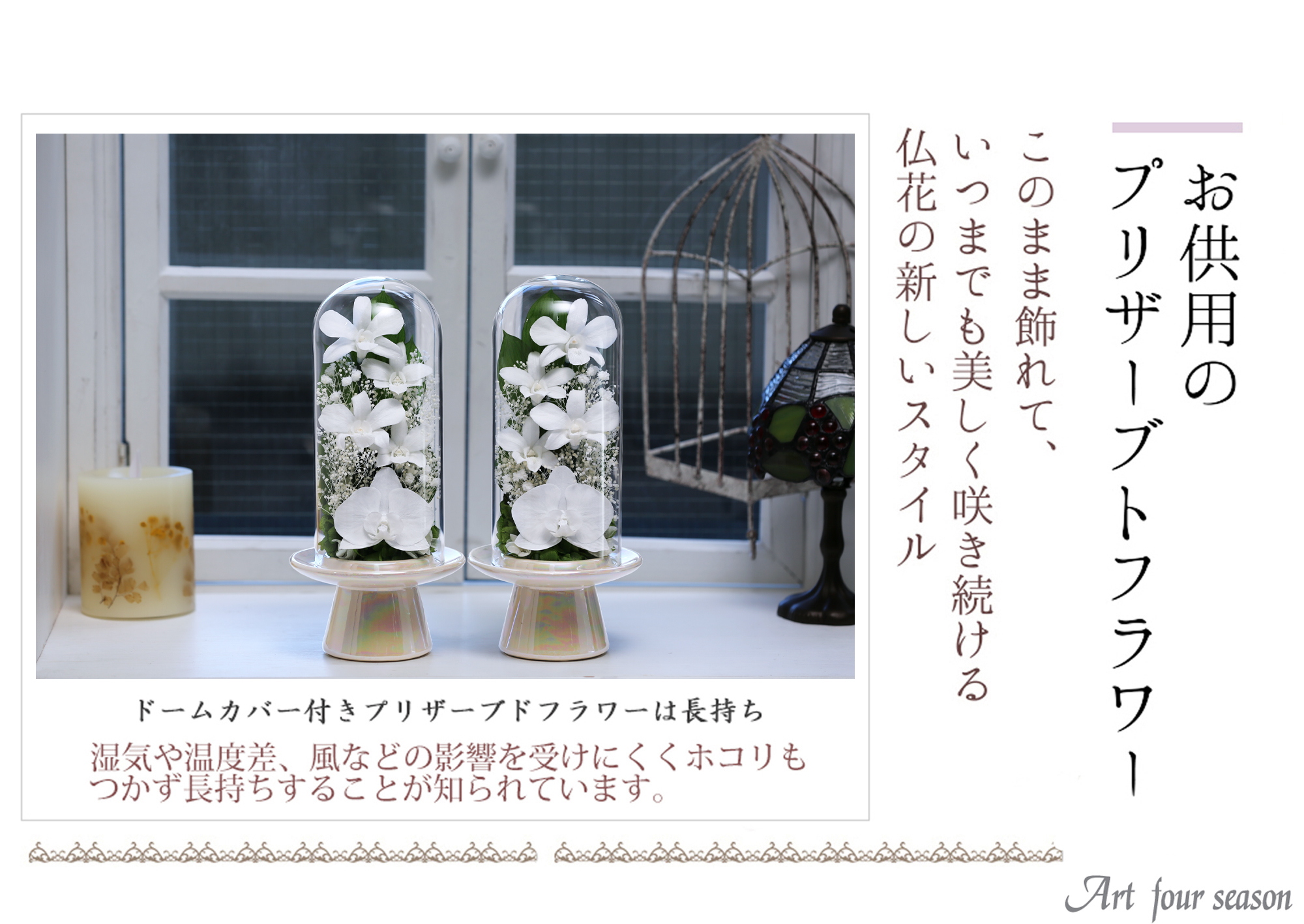 白系