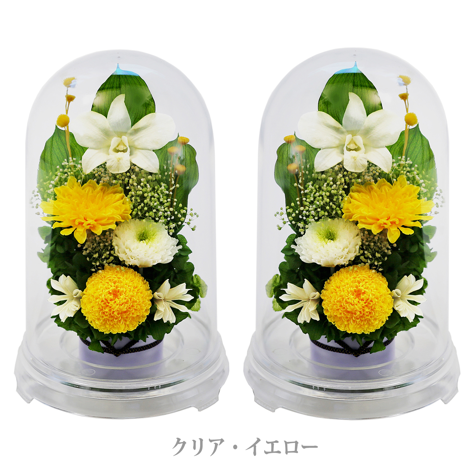 クリア・対イエロー