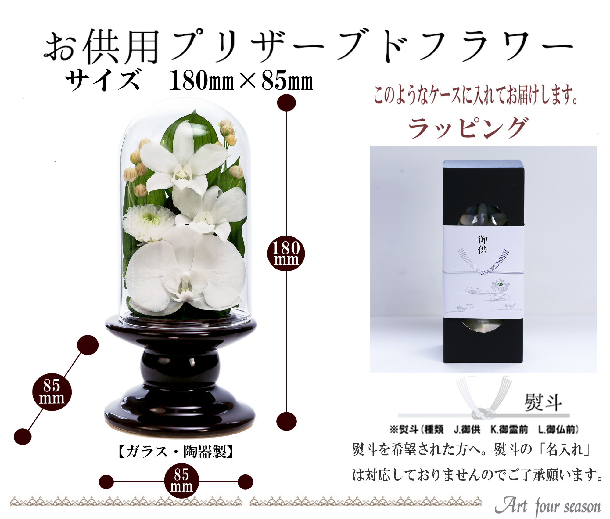Mini胡蝶蘭