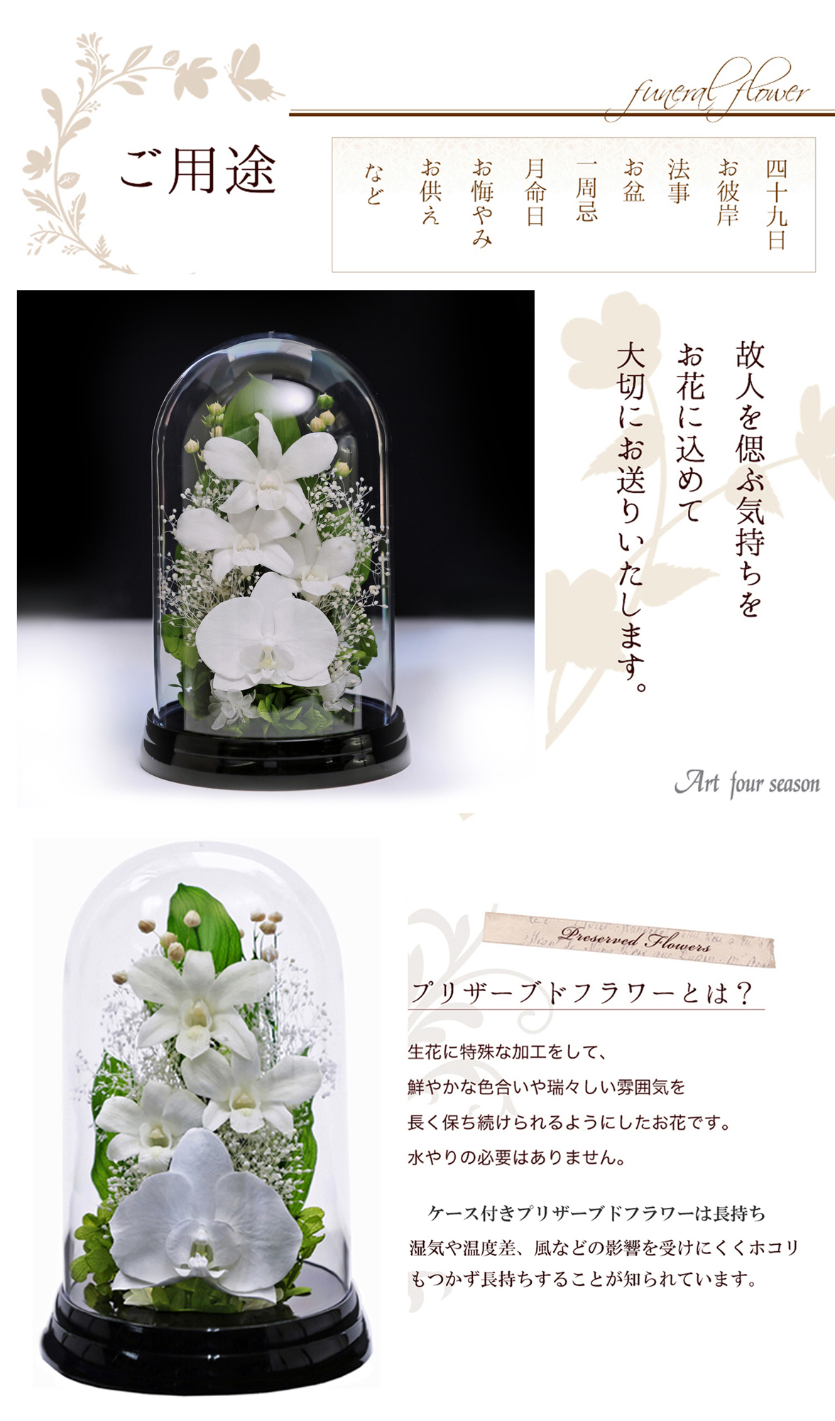黒・ホワイト