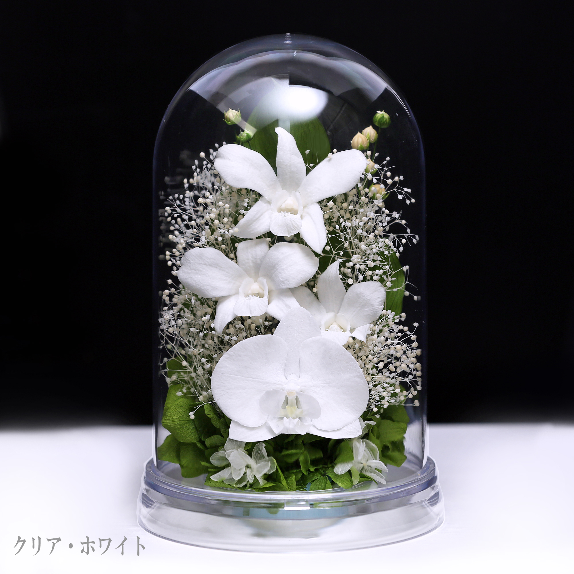 クリア・ホワイト