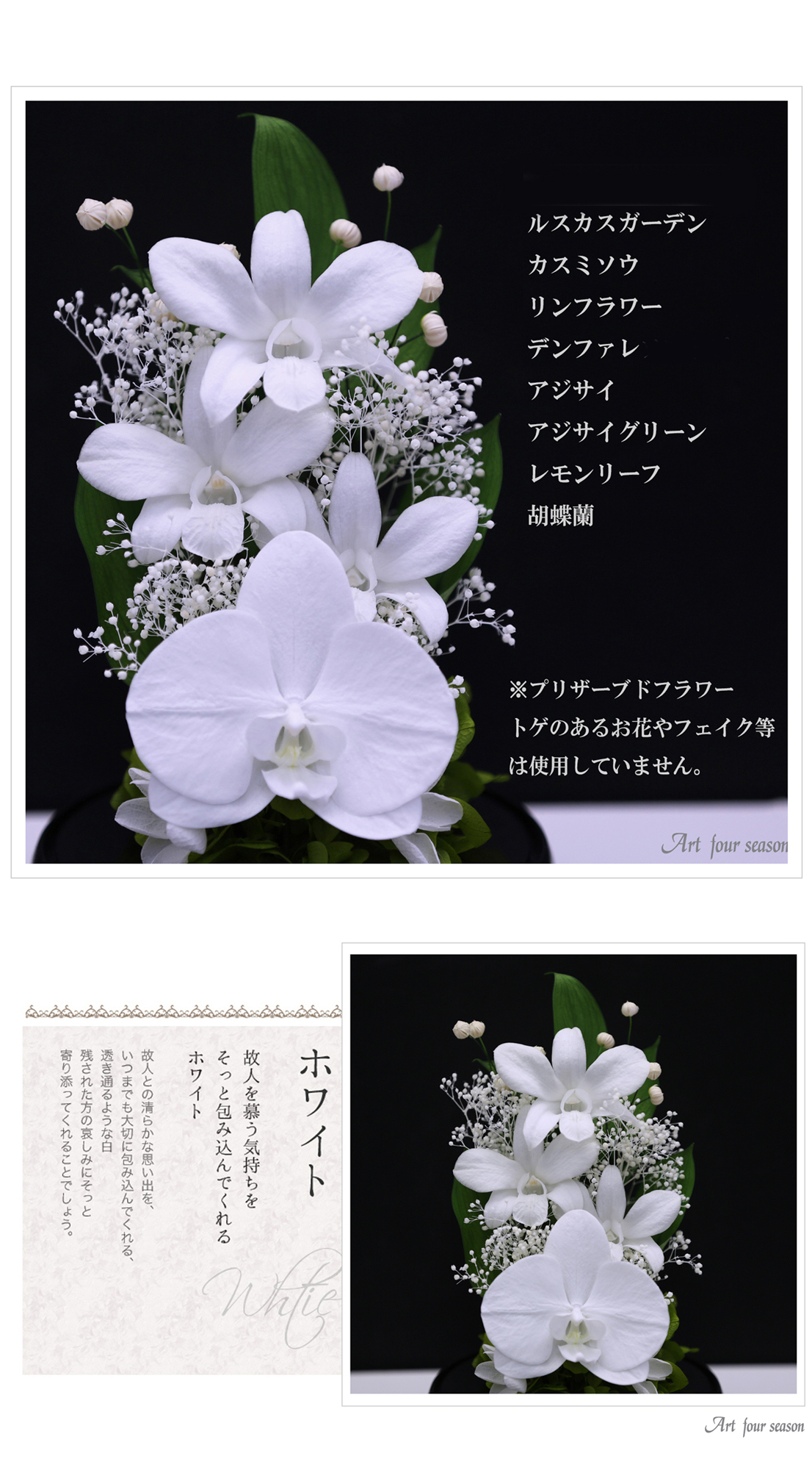 黒・ホワイト