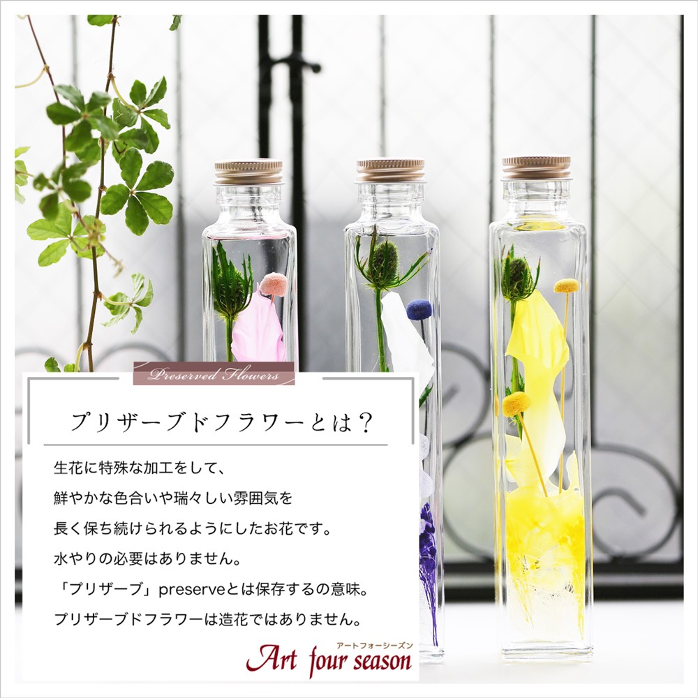 プリザーブドフラワーとは