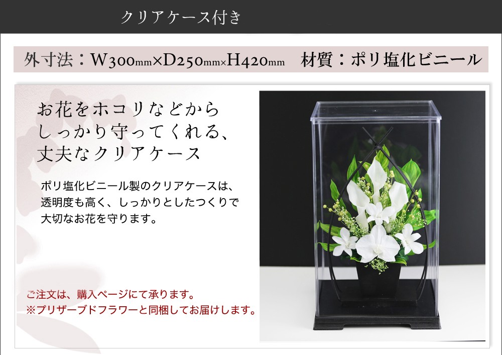 ホワイト
