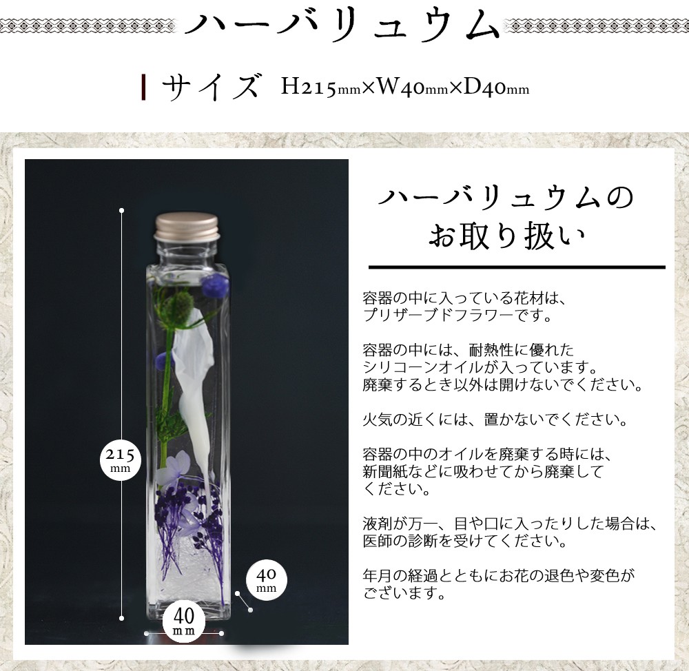 寸法