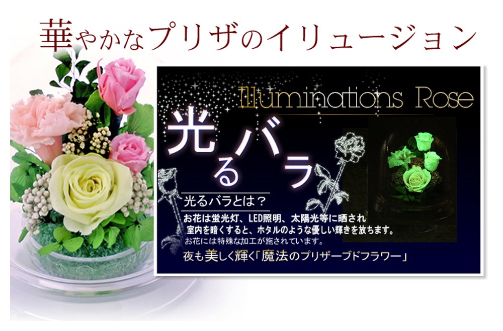ピンク グリーン発光 