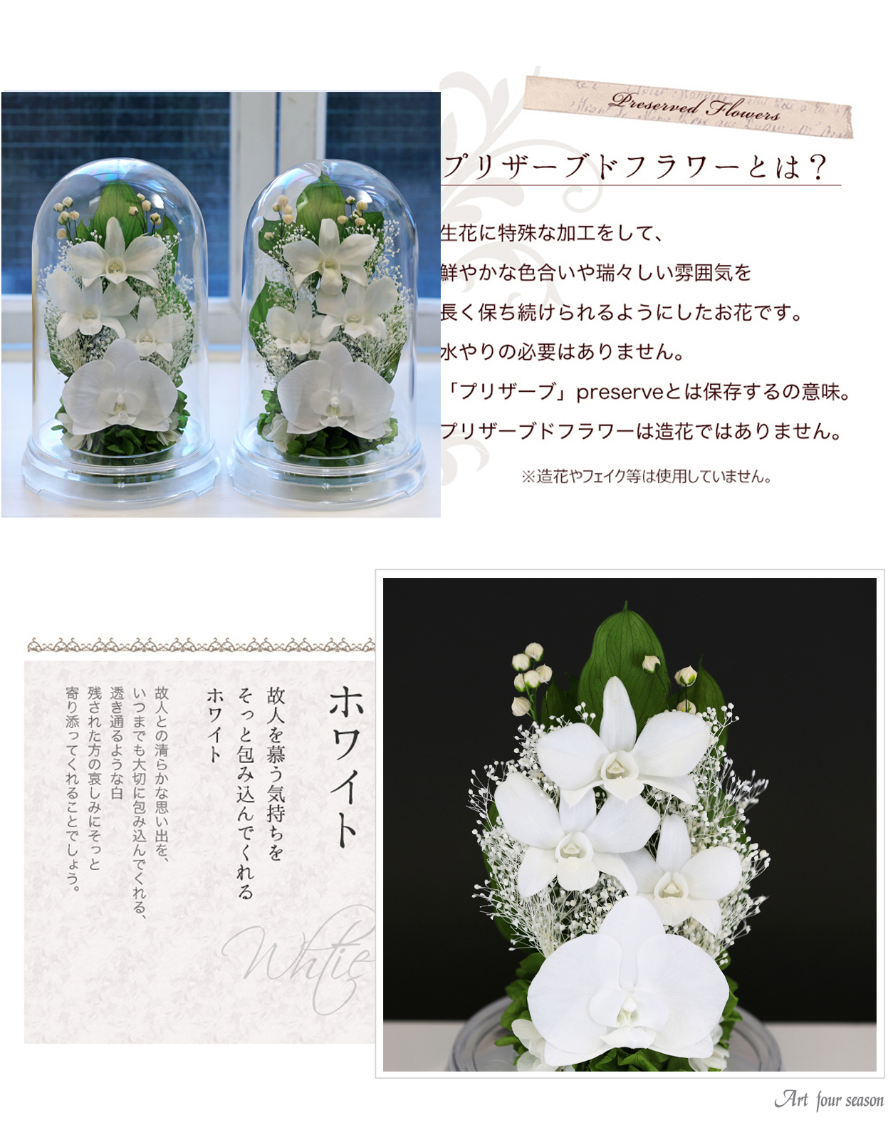 ホワイト