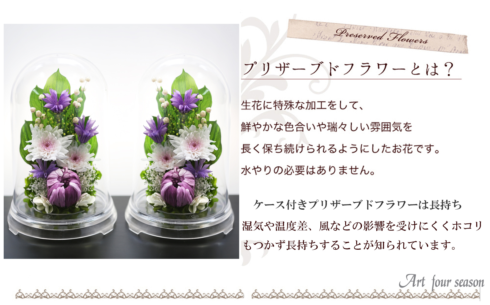 パープル