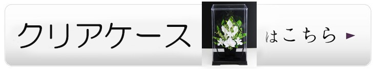 クリアケース付き