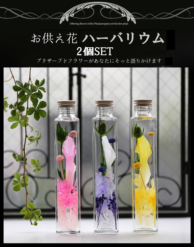 メイン 