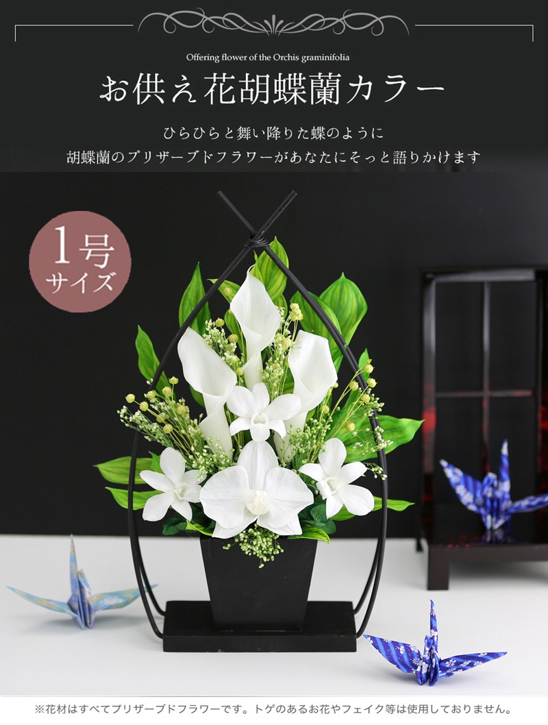 ホワイト