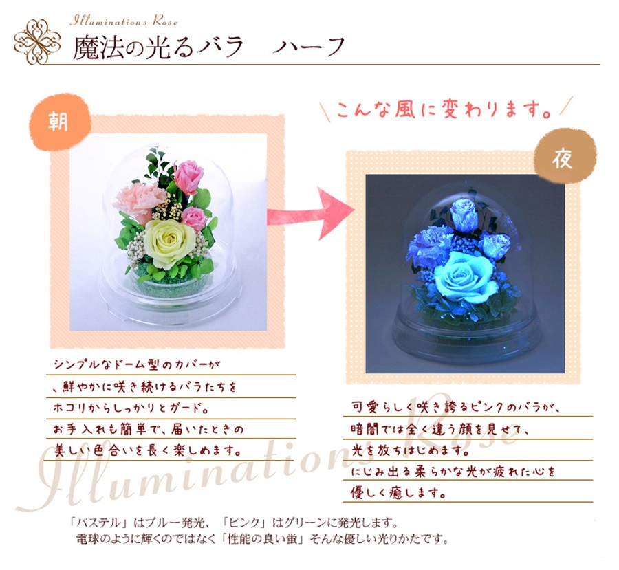 アートフォーシーズン プリザーブドフラワー 花 ギフト 光る バラ 誕生