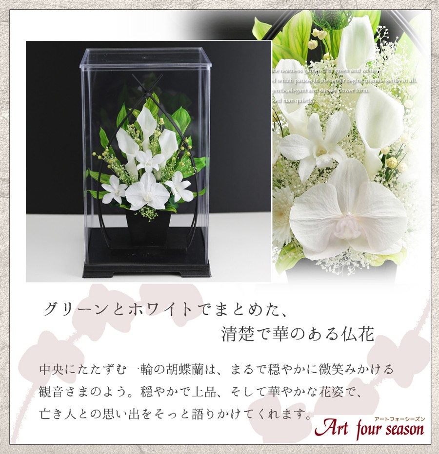 ホワイト