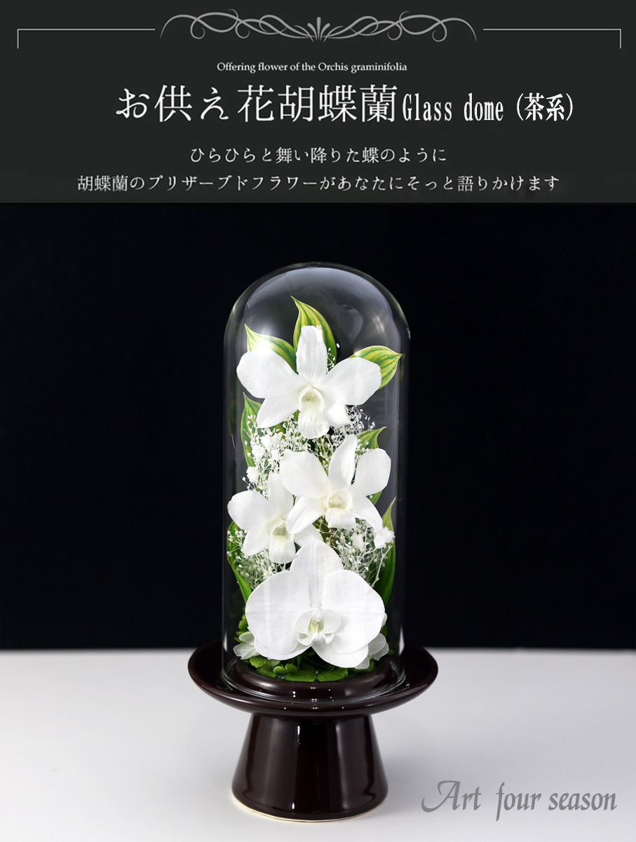 プリザーブドフラワー 仏花 新盆 初盆 胡蝶蘭 Glass ガラス ドーム