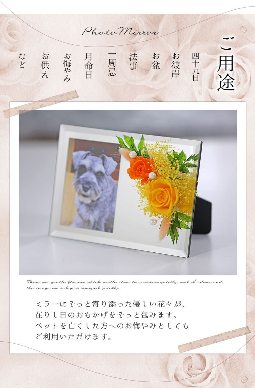 ご用途
