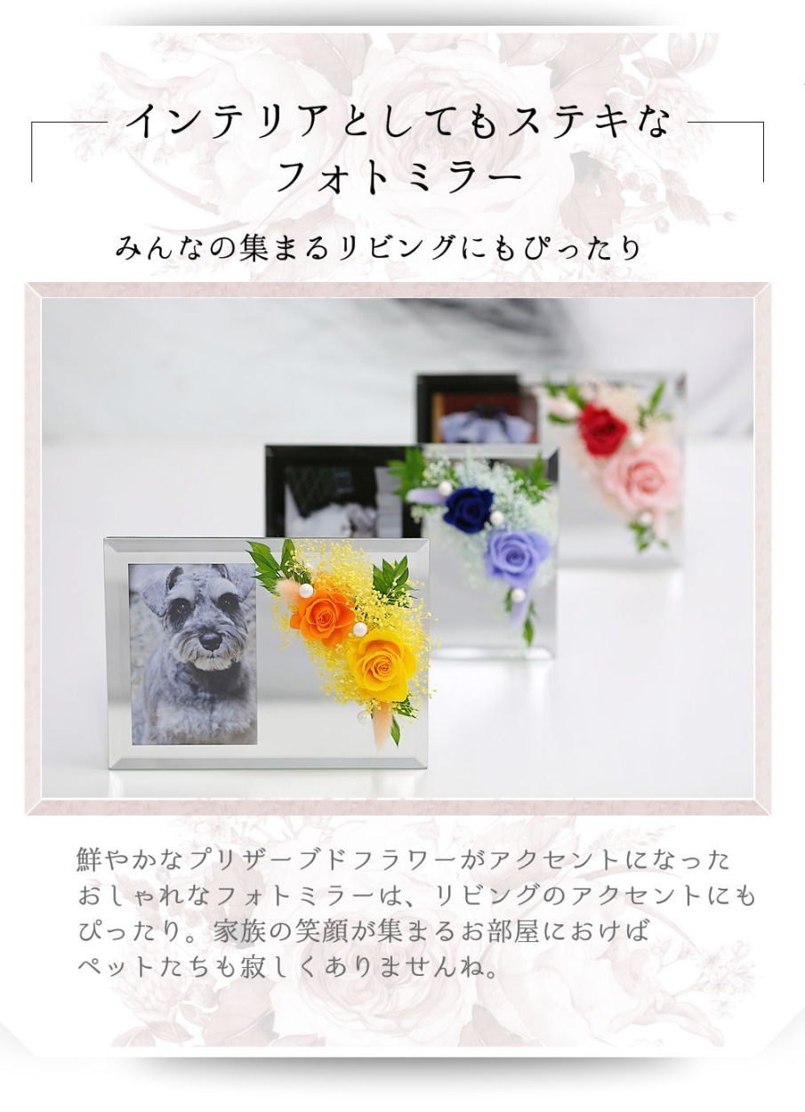 インテリアとしてもステキなフォトミラー