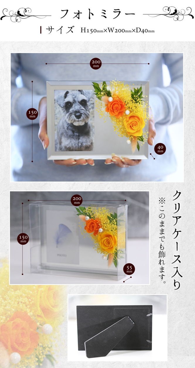 フォトミラー