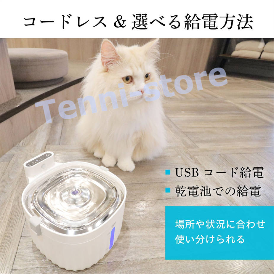 pet08232972_9.jpg