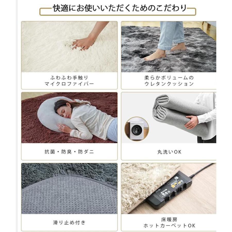 F-Daylight正規品】ラグ カーペット 北欧 洗える モダン絨毯 シャギー