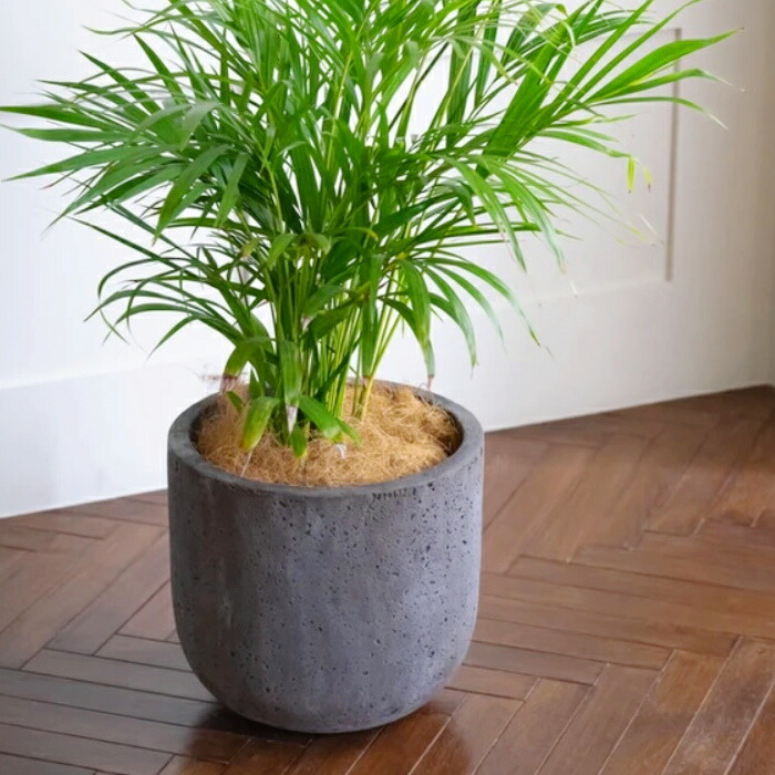 植木鉢 おしゃれ 大型 ロッカーUポットM (2色)＜ 40cm 13号 ファイバー