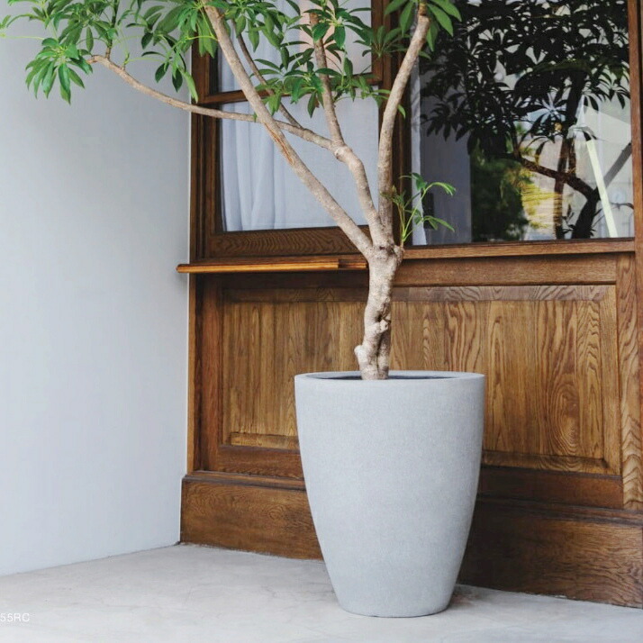 植木鉢 おしゃれ 大型 スタウトアッシュミドルL ＜ 46cm 15号