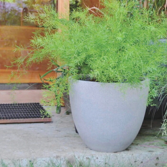 植木鉢 おしゃれ 大型 スタウトアッシュラウンドL＜ 50cm 16号