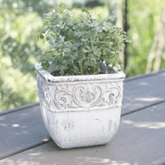 植木鉢 四角 アンティーク クラナスキューブS＜ 13cm 4号 穴あり 白