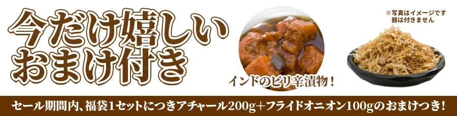 即日出荷 華麗祭 パニールティッカマサラカレー 250g インドカレー 神戸 アールティー