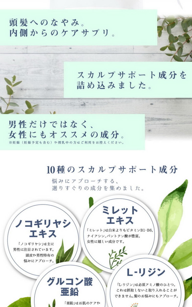 healthylife TrueRushタブレット 180粒( 頭皮ケアサプリ) 営業用50入り