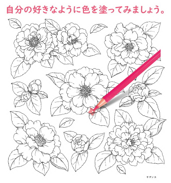 新装版 心がやすらぐ花のぬりえセット すぐに塗り絵が始められる 